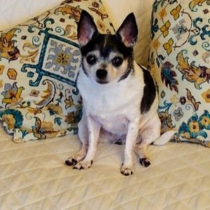 Meet your Posher, Isabel